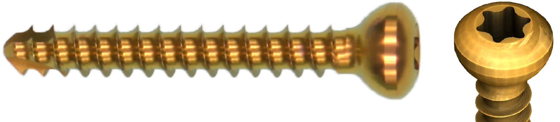 Cortex Screws